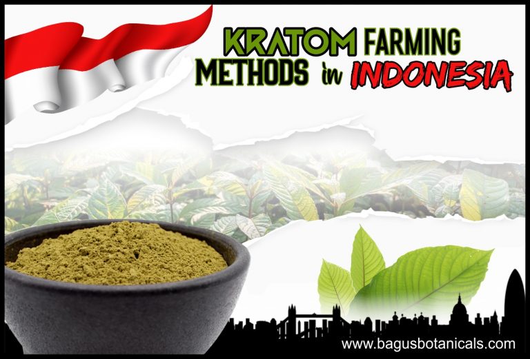 Kratom Farming