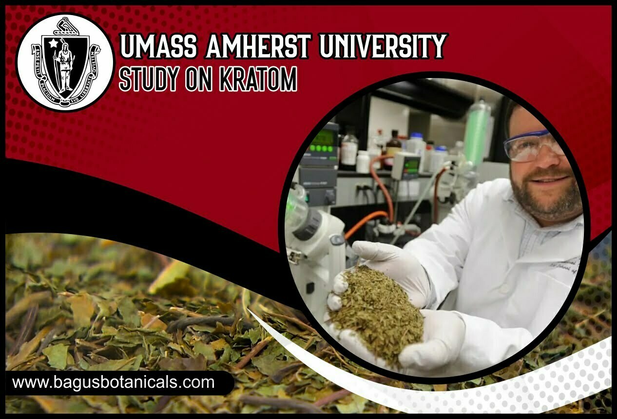 Umass Amherst university