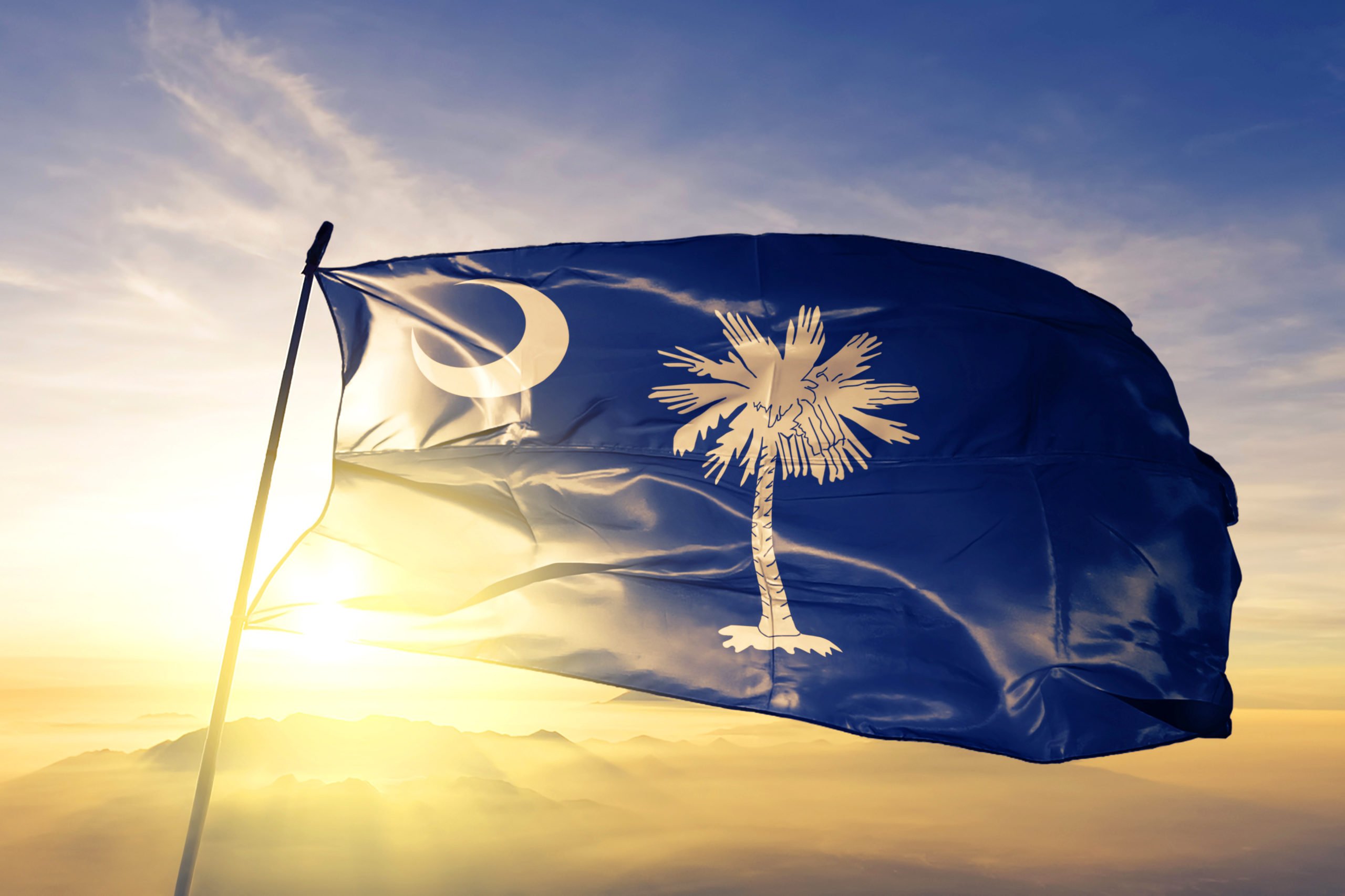 South Carolina flag advocating kratom