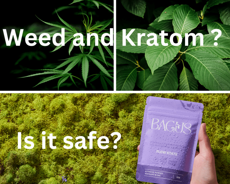a cannabis leaf beside a kratom leaf