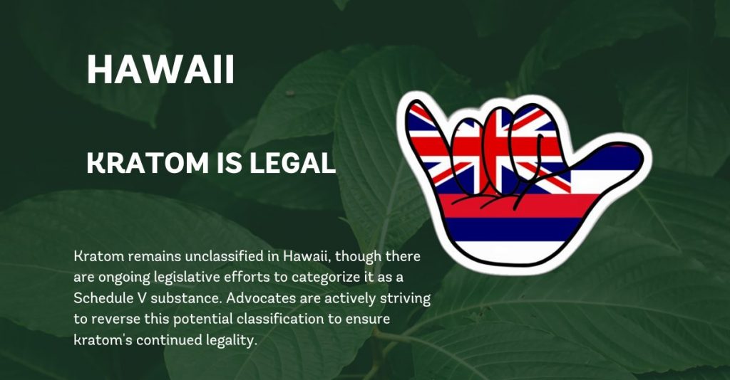 kratom legality in Hawaii. Yes, mitrogyna Speciosa is legal in the state of Hawaii. 