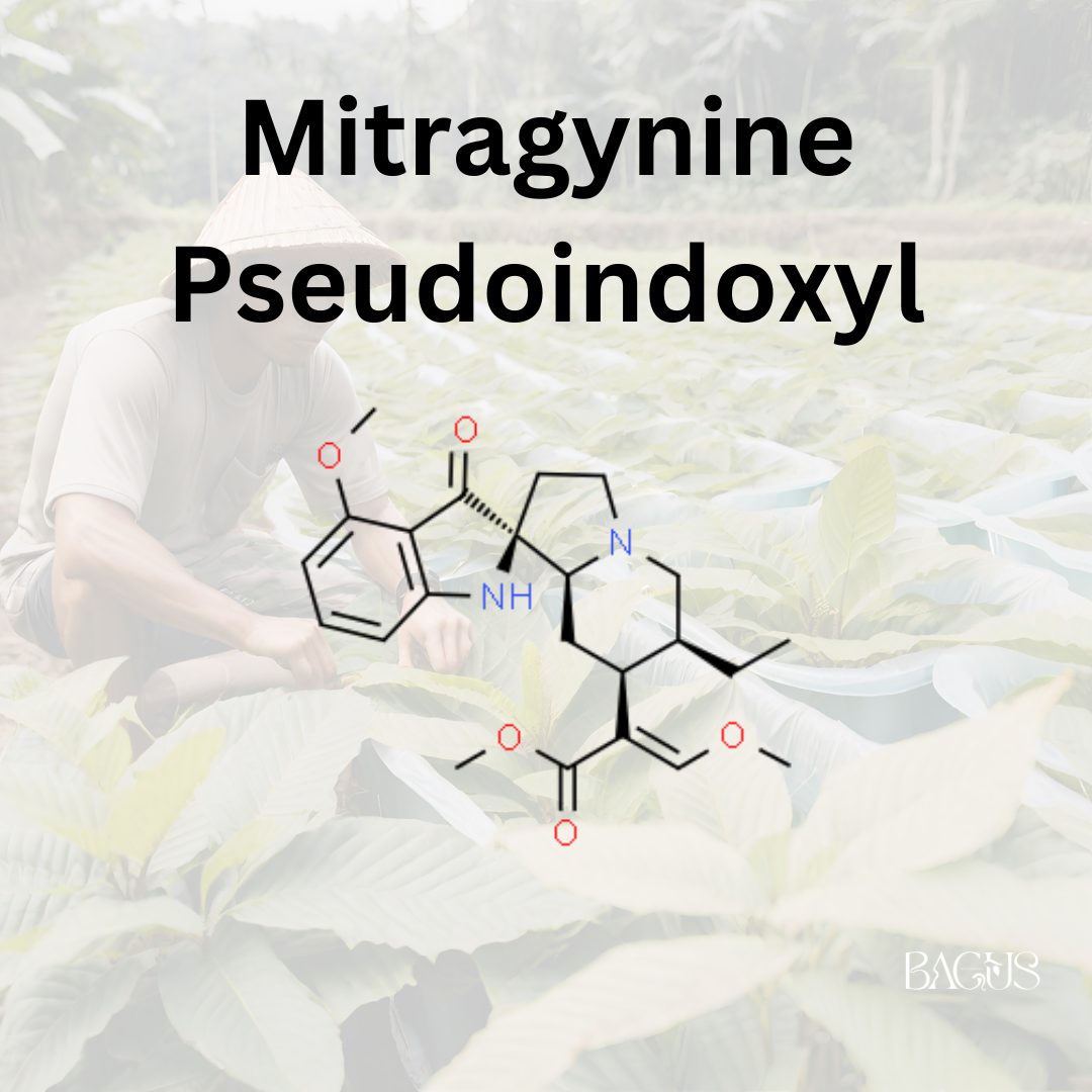 Mitragynine Pseudoindoxyl pharmacology