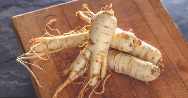 Panax Ginseng Root Adaptogen