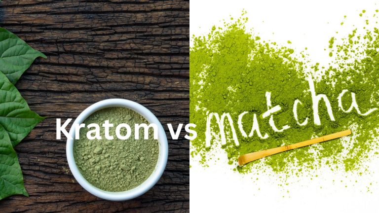 kratom vs matcha comparison