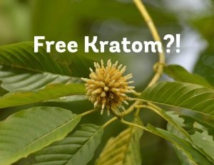 free kratom