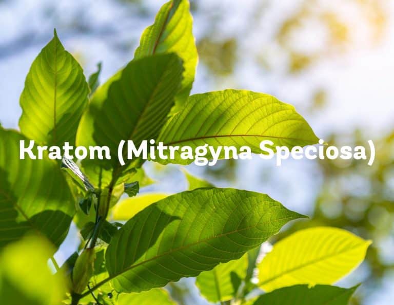 kratom for energy