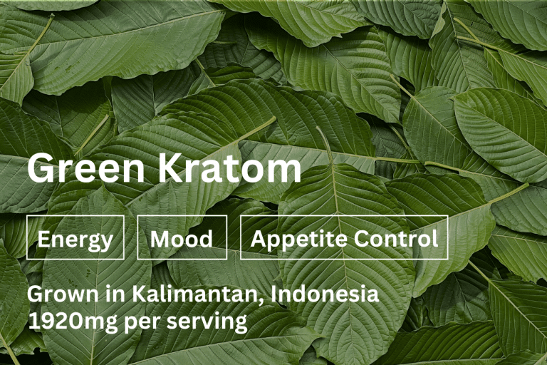 Fresh Green Kratom leaves grown in Kalimantan, Indonesia, known for enhancing energy, improving mood, and supporting appetite control — 1920mg per serving for balanced effects.