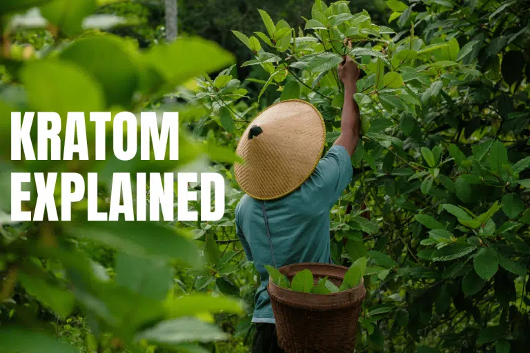 A farmer harvesting kratom leaves in a lush Southeast Asian plantation, showcasing the traditional cultivation of Mitragyna speciosa, a plant valued for its natural benefits.