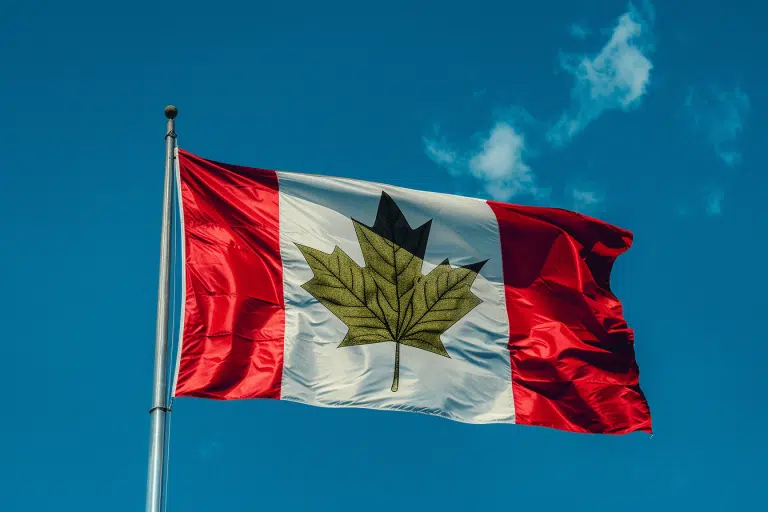 Canadian flag waving in the wind with a green kratom leaf replacing the traditional red maple leaf, symbolizing kratom's legal debate in Canada.