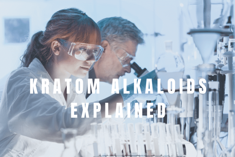Researchers in a laboratory analyzing kratom alkaloids, illustrating scientific study of mitragynine, 7-hydroxymitragynine, and other active compounds in kratom.